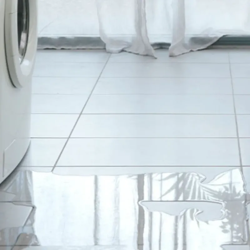 Appliance Leak Cleanup in Massac County, IL