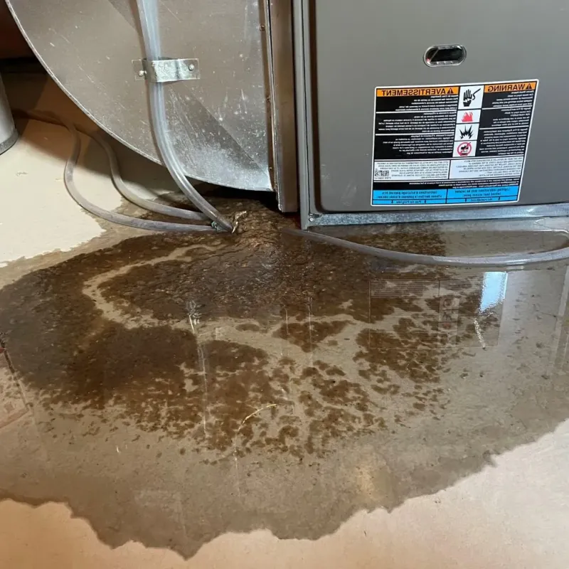 Pipe Burst and Leak Restoration in Massac County, IL
