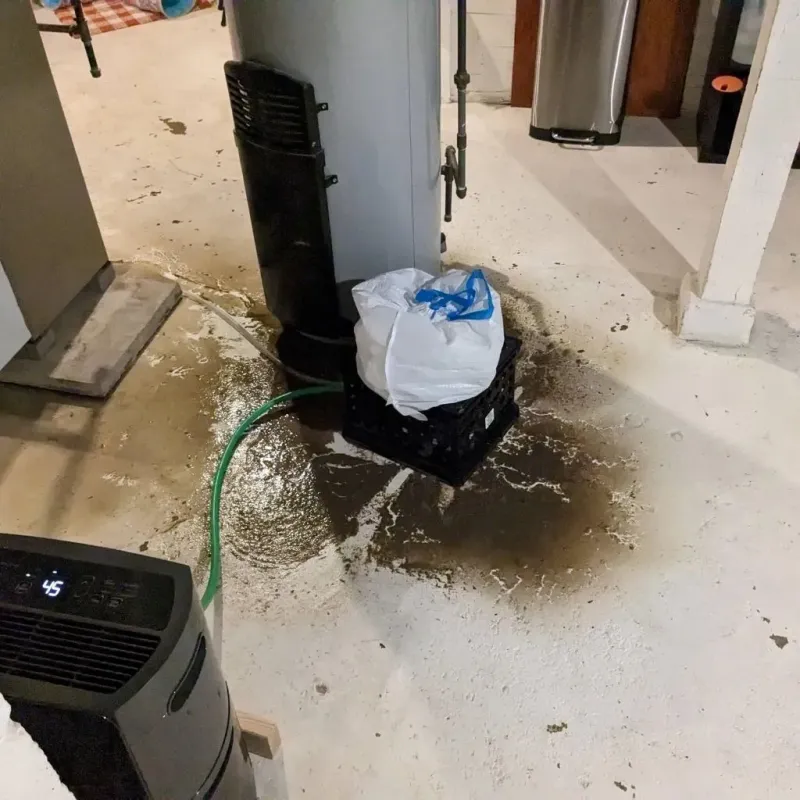 Sewage Backup Cleanup Service in Massac County, IL